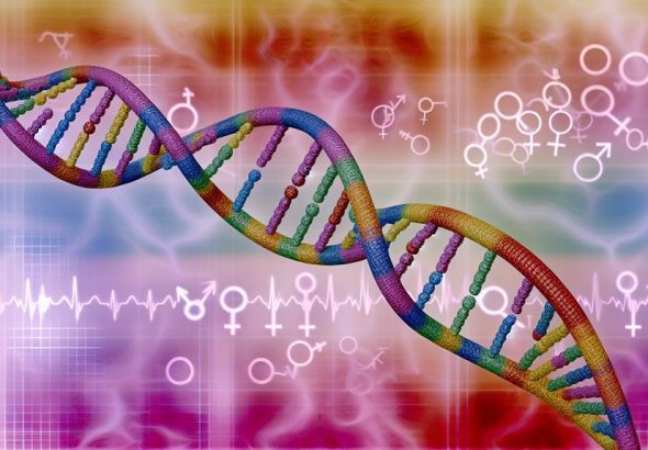 hormones and sexual orientation