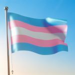 trans flag color significance