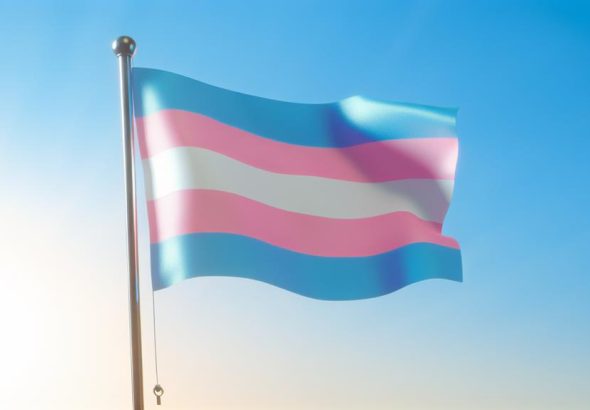 trans flag color significance