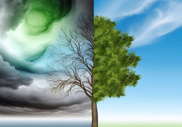 embracing change for growth