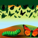 radical transformation personal journeys