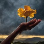 turn challenges into opportunities