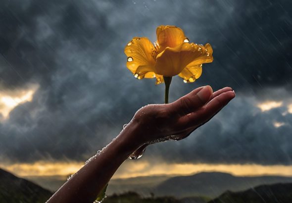 turn challenges into opportunities