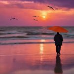 florida targeting adult trans healthcare